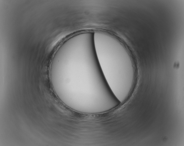 X0000110951259200906191106