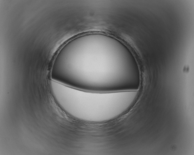 X0000110951260200906191106