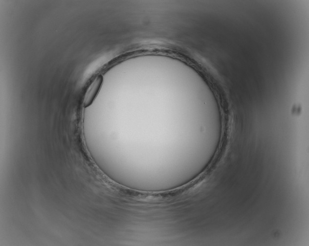 X0000110951261200906191106