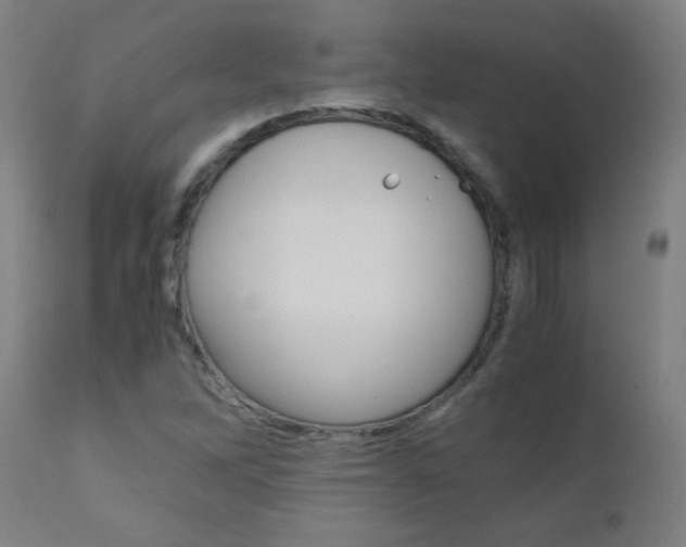 X0000110951262200906191106