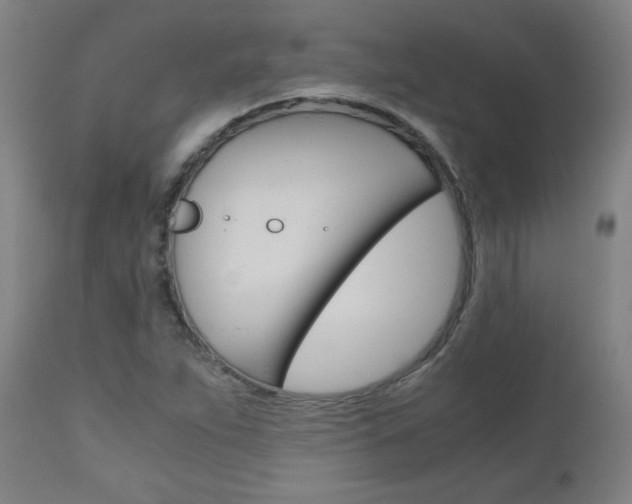 X0000110951263200906191106
