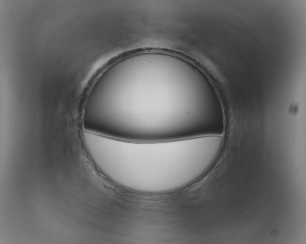 X0000110951264200906191106