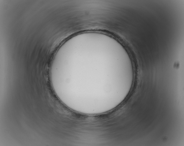 X0000110951265200906191106