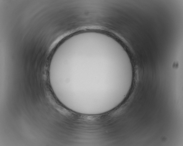 X0000110951266200906191106