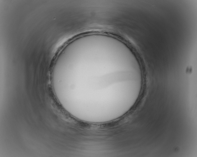 X0000110951267200906191106