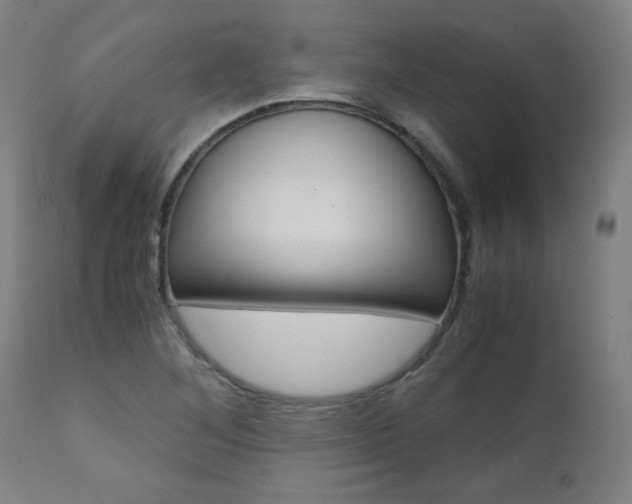 X0000110951268200906191106