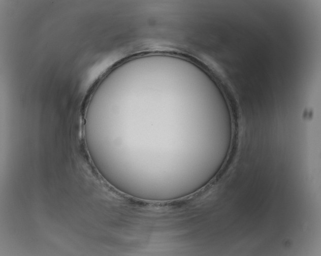 X0000110951269200906191106