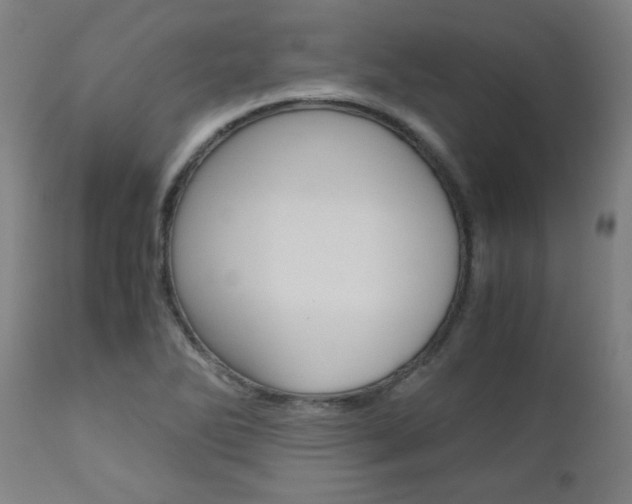 X0000110951270200906191106