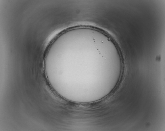 X0000110951271200906191106
