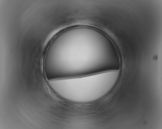 X0000110951272200906191106
