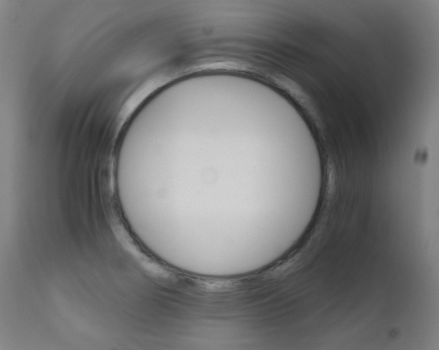 X0000110951274200906191106