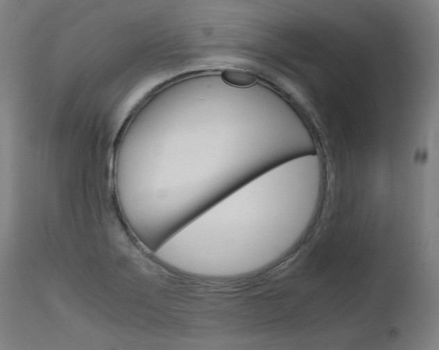 X0000110951275200906191106