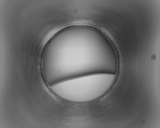 X0000110951277200906191106