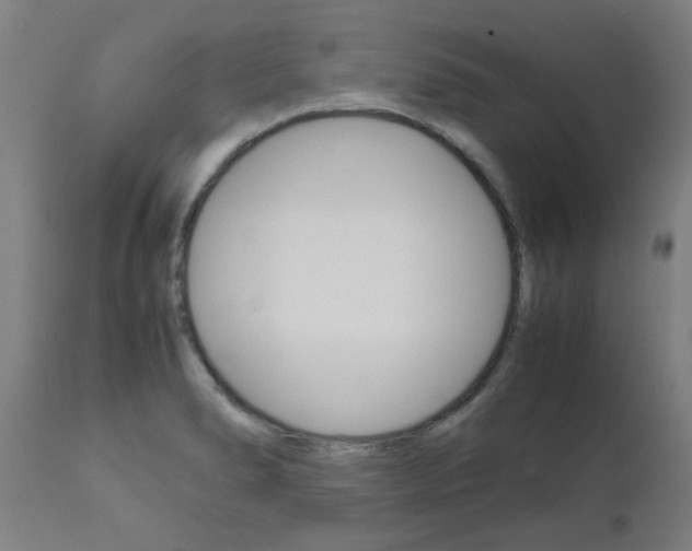X0000110951278200906191106