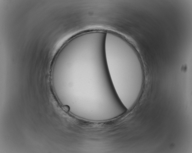X0000110951279200906191106