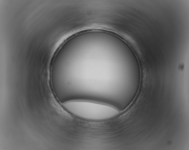 X0000110951280200906191106