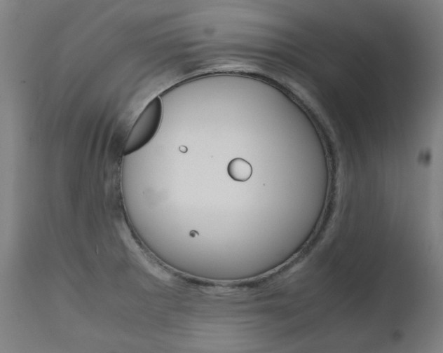 X0000110951281200906191106