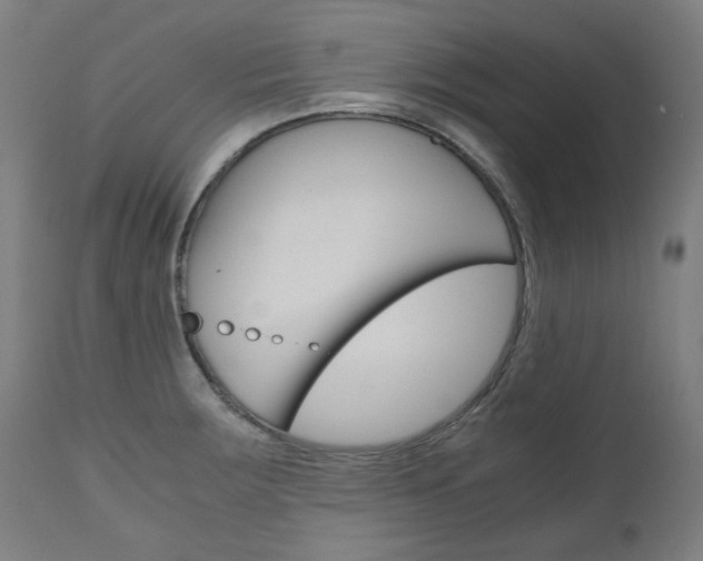 X0000110951283200906191106