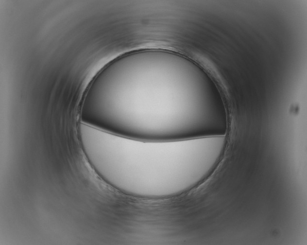 X0000110951284200906191106