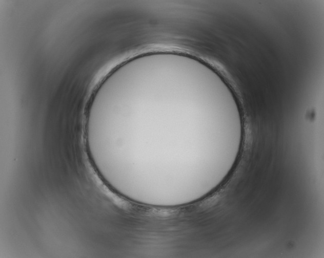 X0000110951286200906191106