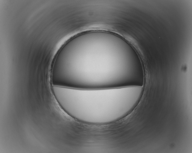 X0000110951288200906191106