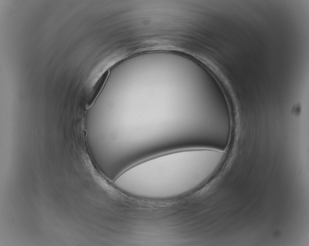 X0000110951289200906191106