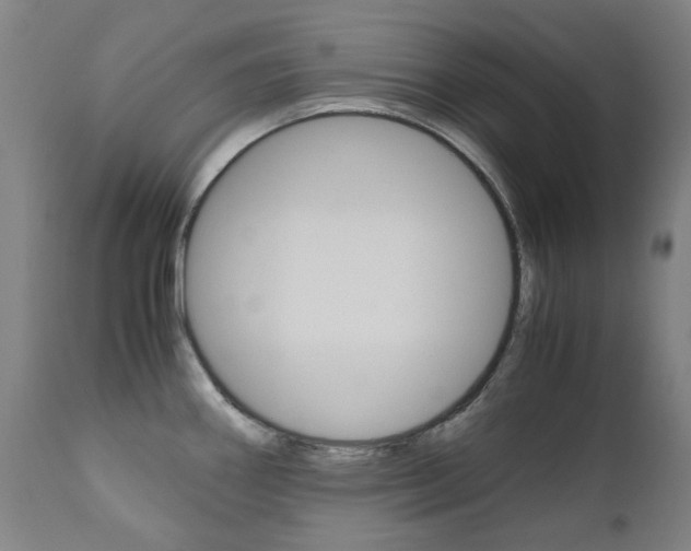 X0000110951290200906191106