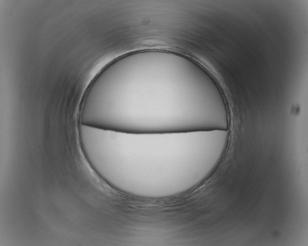 X0000110951291200906191106