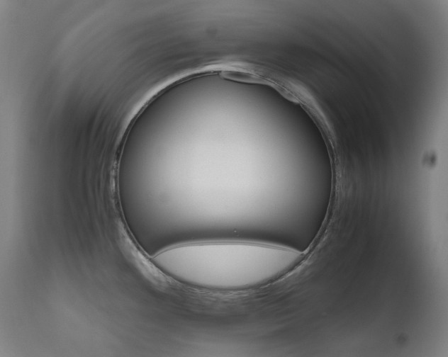 X0000110951292200906191106