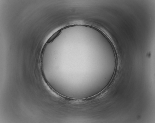 X0000110951293200906191106