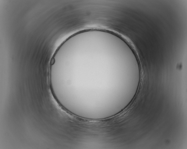 X0000110951295200906191106