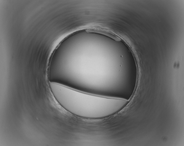 X0000110951296200906191106