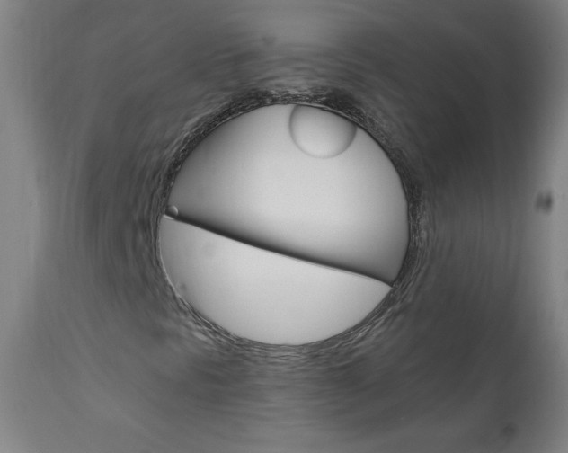 X0000110951297200906191105
