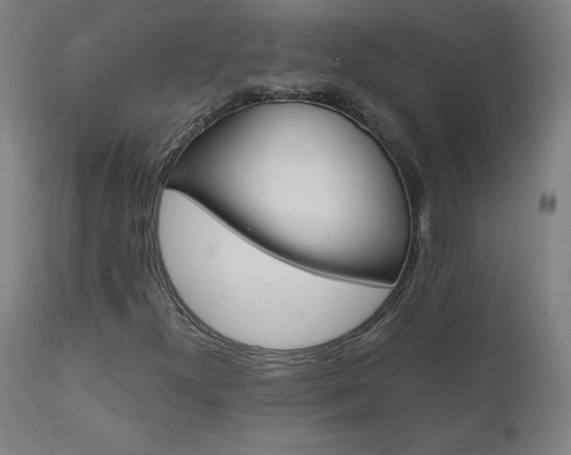 X0000110951300200906191105