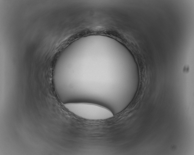 X0000110951301200906191105