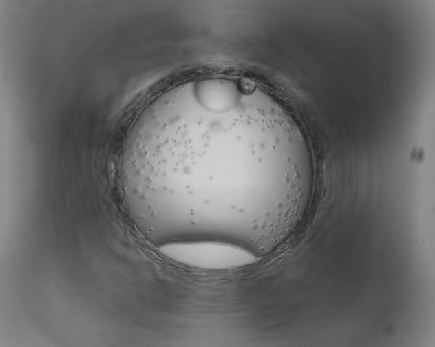 X0000110951302200906191105
