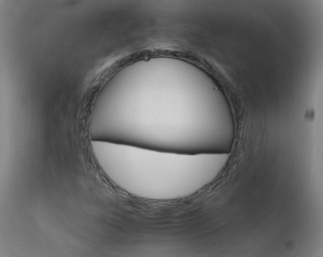 X0000110951303200906191105