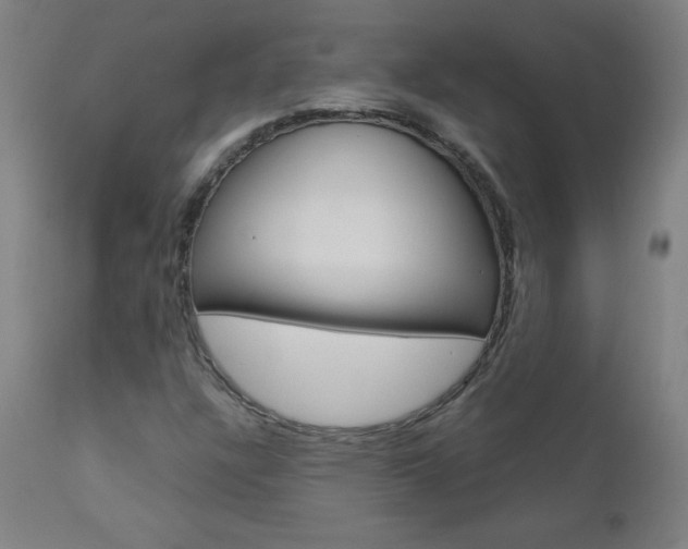 X0000110951304200906191105
