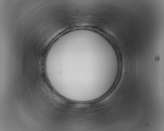 X0000110951305200906191105