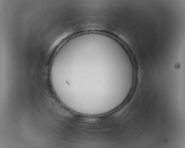 X0000110951309200906191105