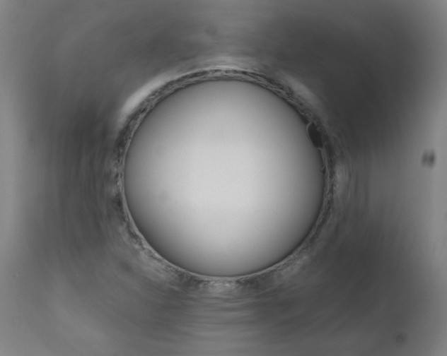 X0000110951310200906191105