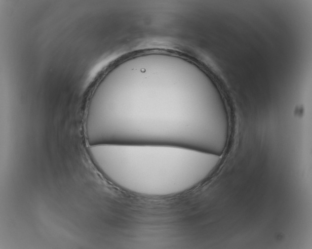 X0000110951312200906191105
