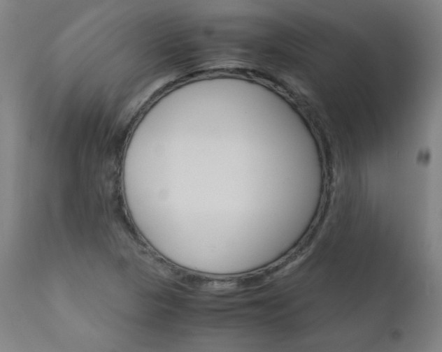 X0000110951313200906191105