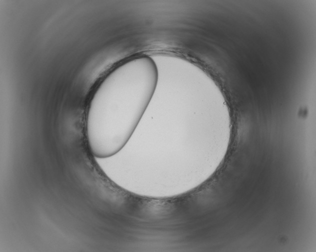 X0000110951314200906191105