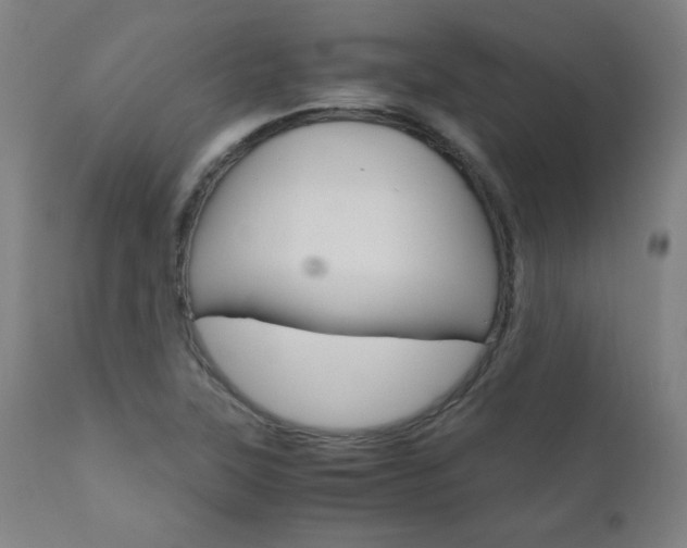 X0000110951315200906191105
