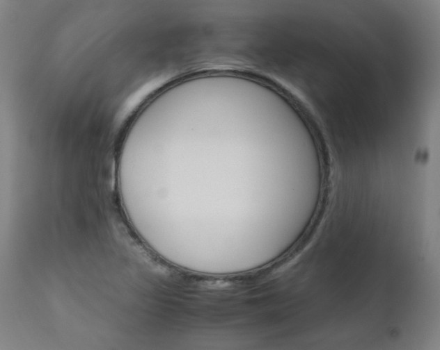 X0000110951317200906191105