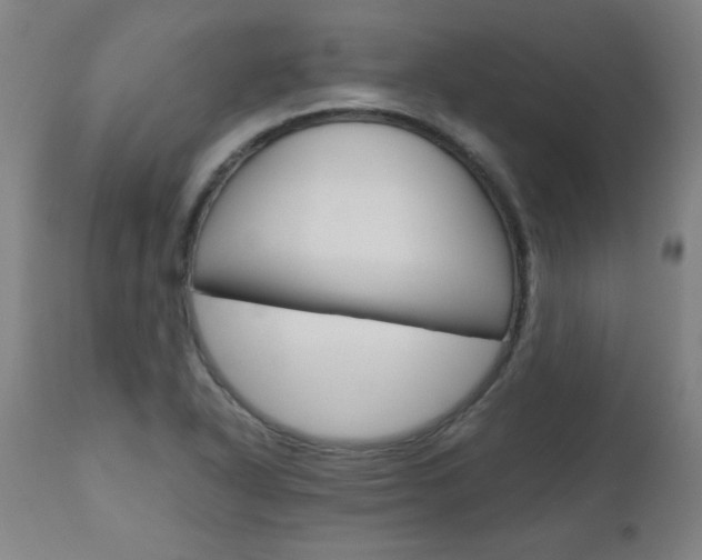 X0000110951318200906191105
