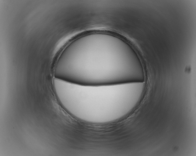 X0000110951319200906191105