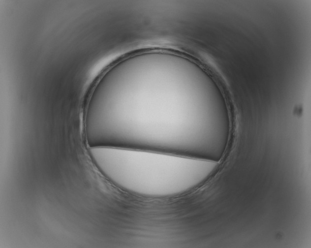 X0000110951320200906191105