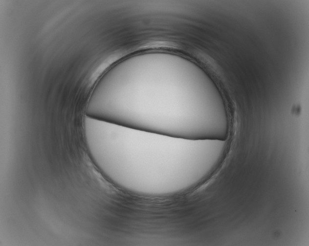 X0000110951321200906191105
